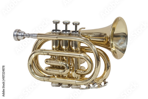 classical wind musical instrument cornet isolated on white background