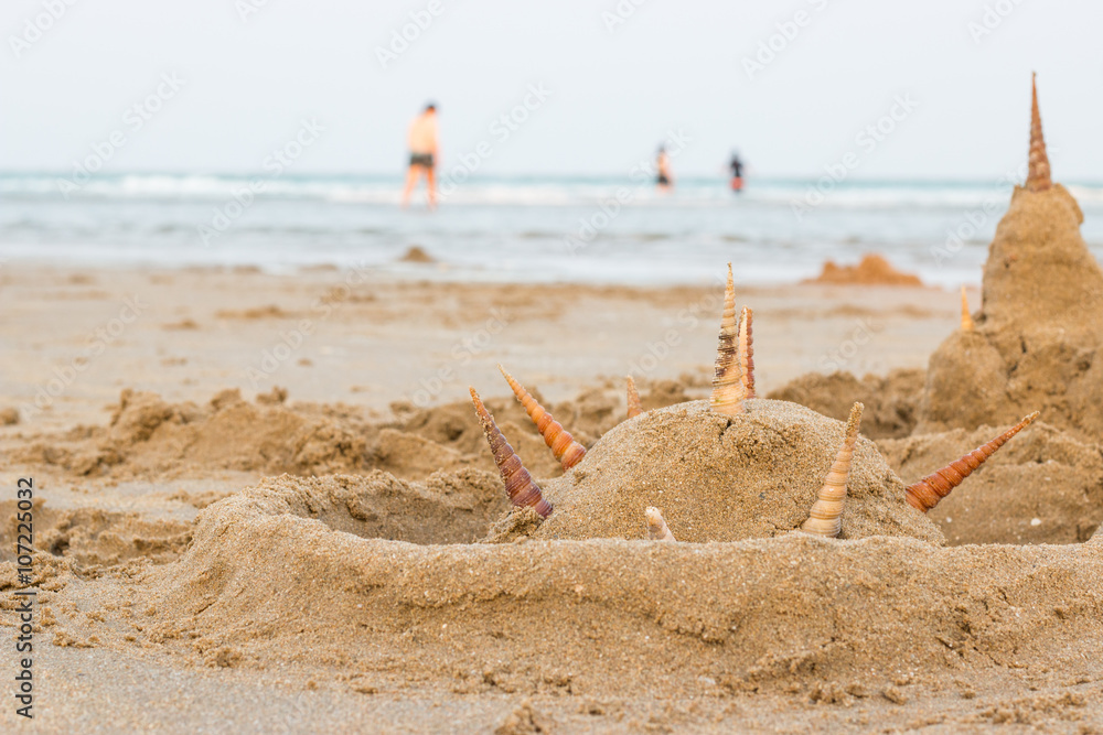 Shell Sand castles on the beach Shell Sand castles on the beach