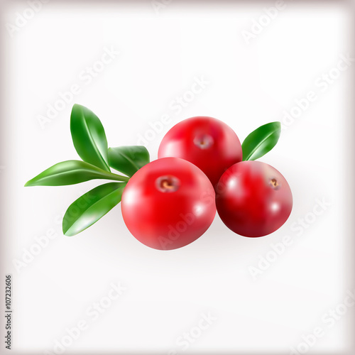 Red cranberries with leaves