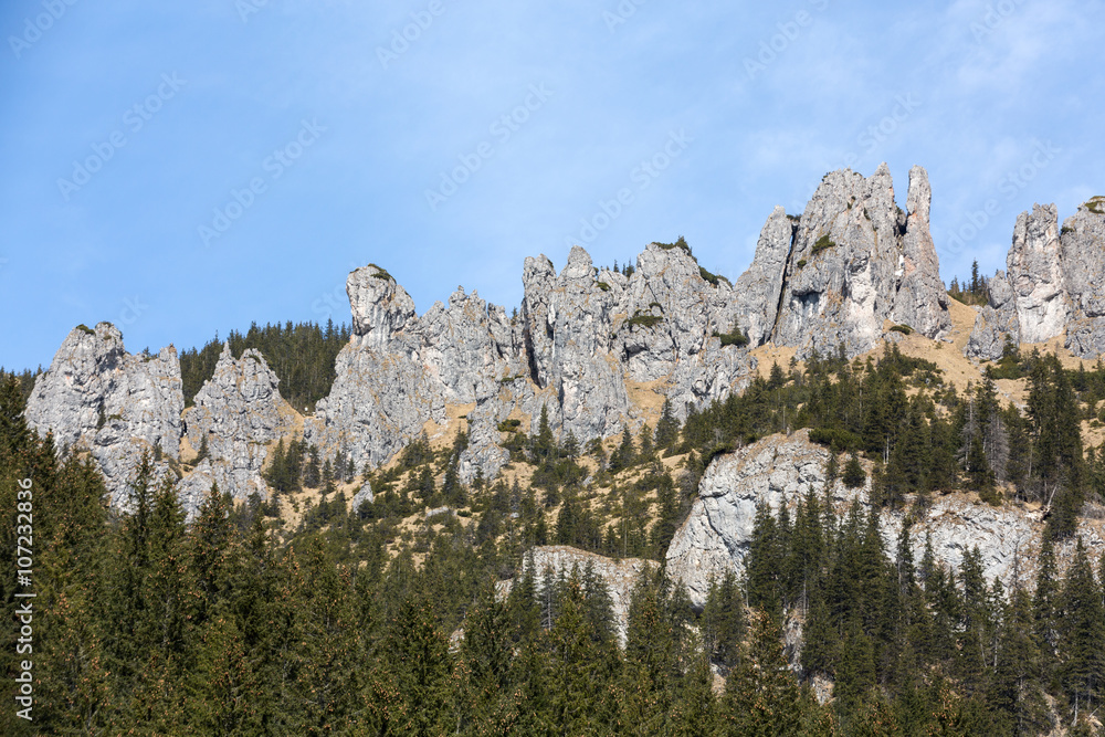 Crags (Mnichy Chocholowskie) in Chocholowska Valley. Tatra. Poland