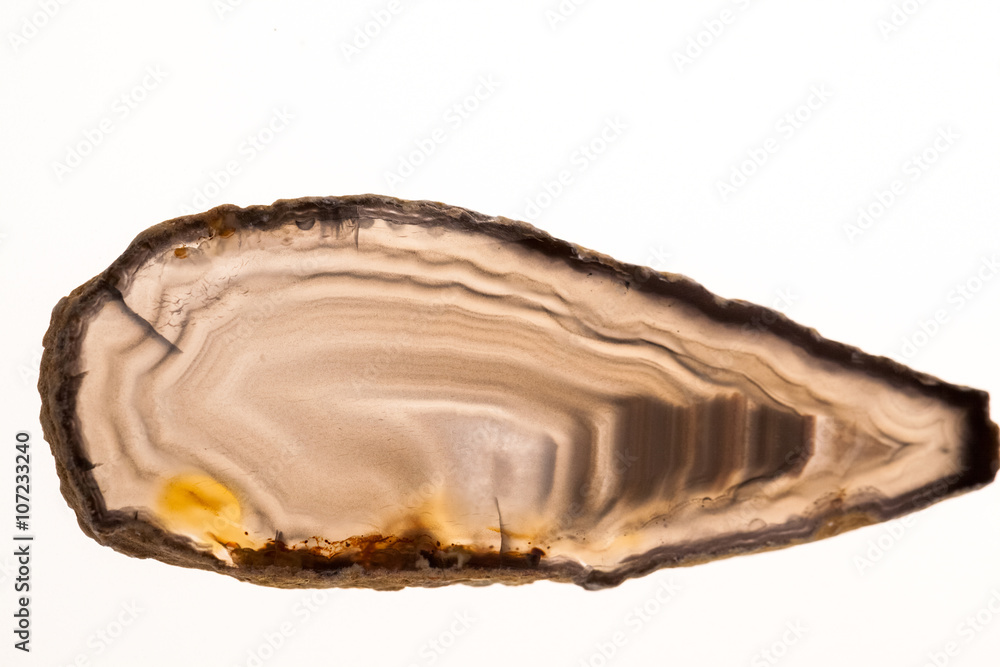 Agate- beautiful, colorful slices and texture Agate- beautiful, colorful slices and texture