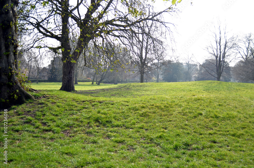 landscape in regent's park london