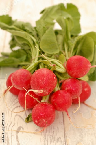 Radishes on the wooden background