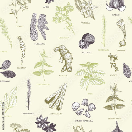 Vector seamless pattern with hand drawn spices and herb sketch. Vintage spice background for your menu or kitchen design