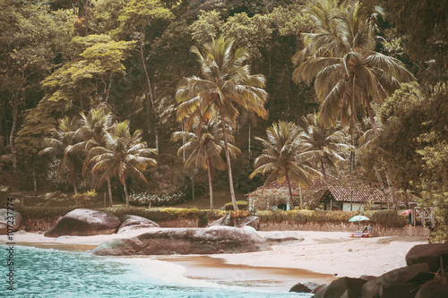 brazilean tropical beach photo