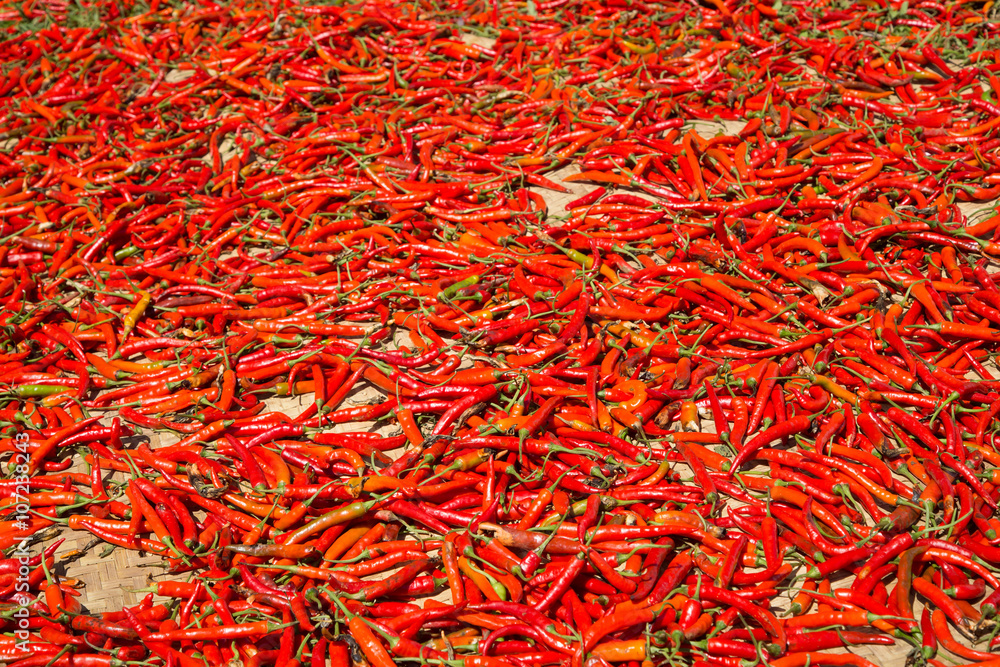 Hot chilli peppers