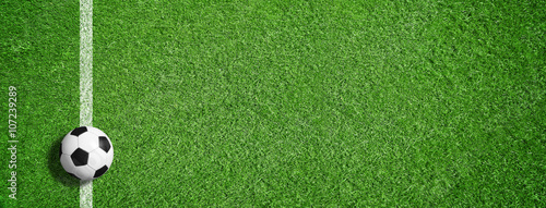 Fußball auf grünem Rasen mit Makierung © Coloures-Pic