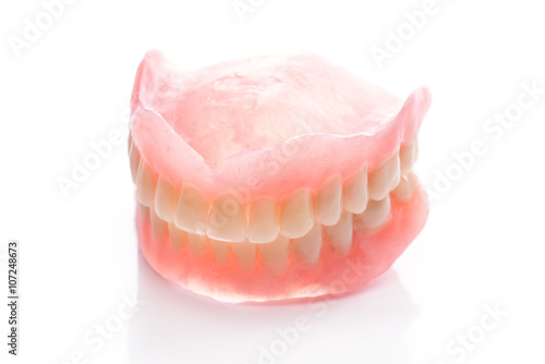 Teeth model on white background