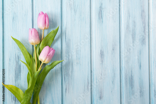 Fresh pink tulip flowers on blue wooden table, top view with copy space