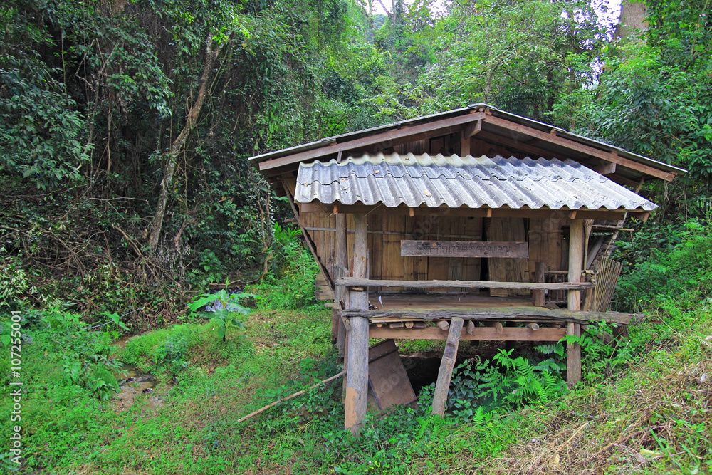 old deserted house in the forest old deserted house in the forest