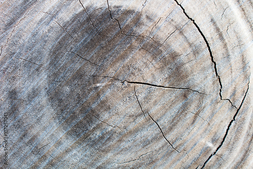 the old wood surface, wood background, wood texture.