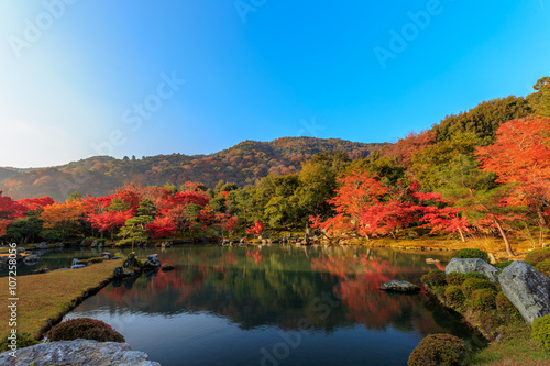 朝の光に照らされる、紅葉と大池　その2
