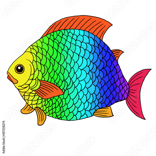 A big decorative fantastic fish with rainbow  scales and red fins. Vector illustration.