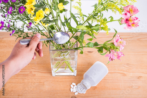 Quadro su tela Add grounded acetylsalicylic acid tablet into vase filled with water to keep cut