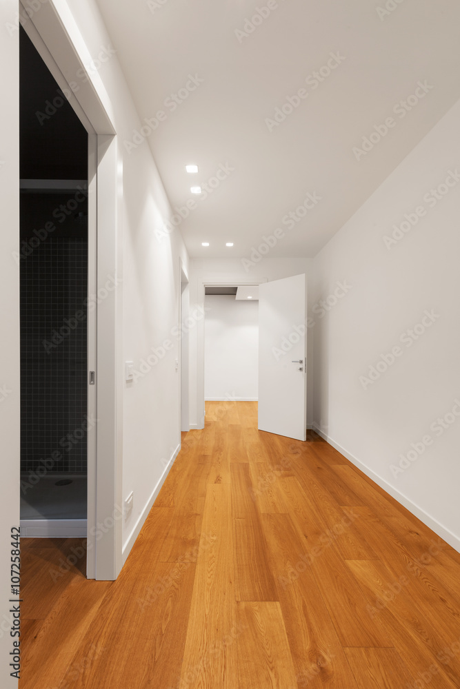 Obraz premium Interior of modern apartment, corridor