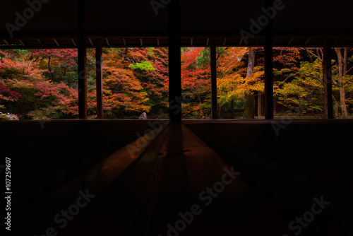 和室の奥に広がる紅葉