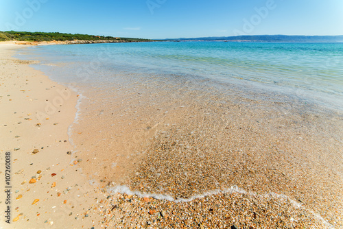 Fototapeta Naklejka Na Ścianę i Meble -  pebbles on the foreshore in Lazzaretto beach
