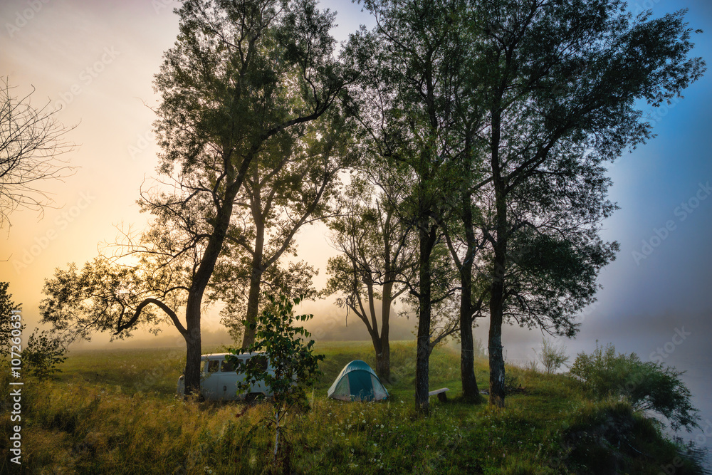 Fototapeta premium foggy morning, a tree on the river bank