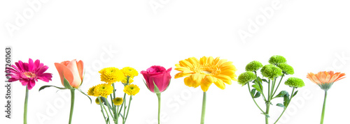 Flower border spring summer