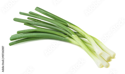 Green spring onion isolated on white diagonal