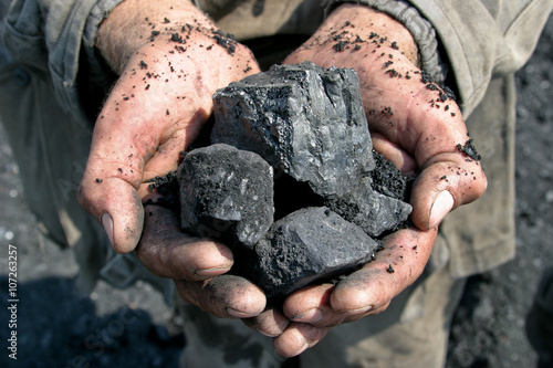 coal miner in the hands of