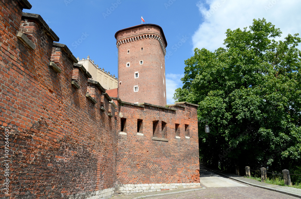 The wall of the royal castle in Krakow (Poland)