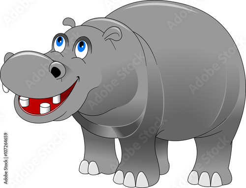 hippo