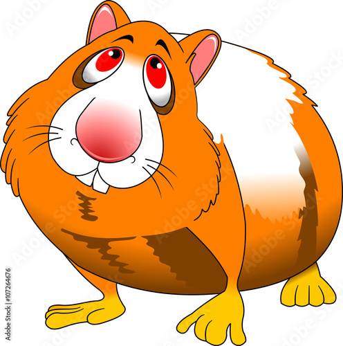 hamster