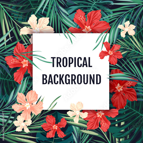 Summer tropical hawaiian background with palm tree leavs and exotic flowers