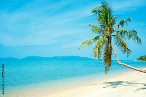Tropical beach with coconut palm. Koh Samui, Thailand