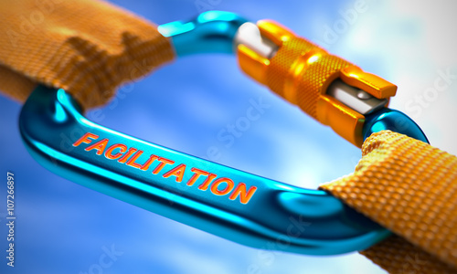 Картината върху платно Facilitation on Blue Carabine with a Orange Ropes