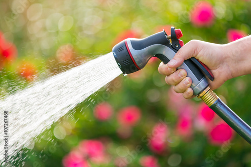 Watering garden flowers using hose  photo