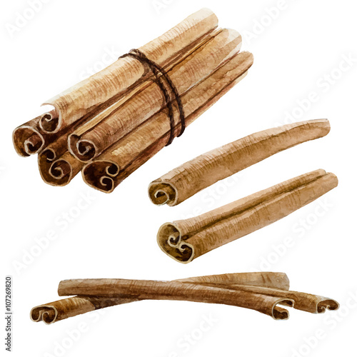 Watercolor spice cinnamon stick
