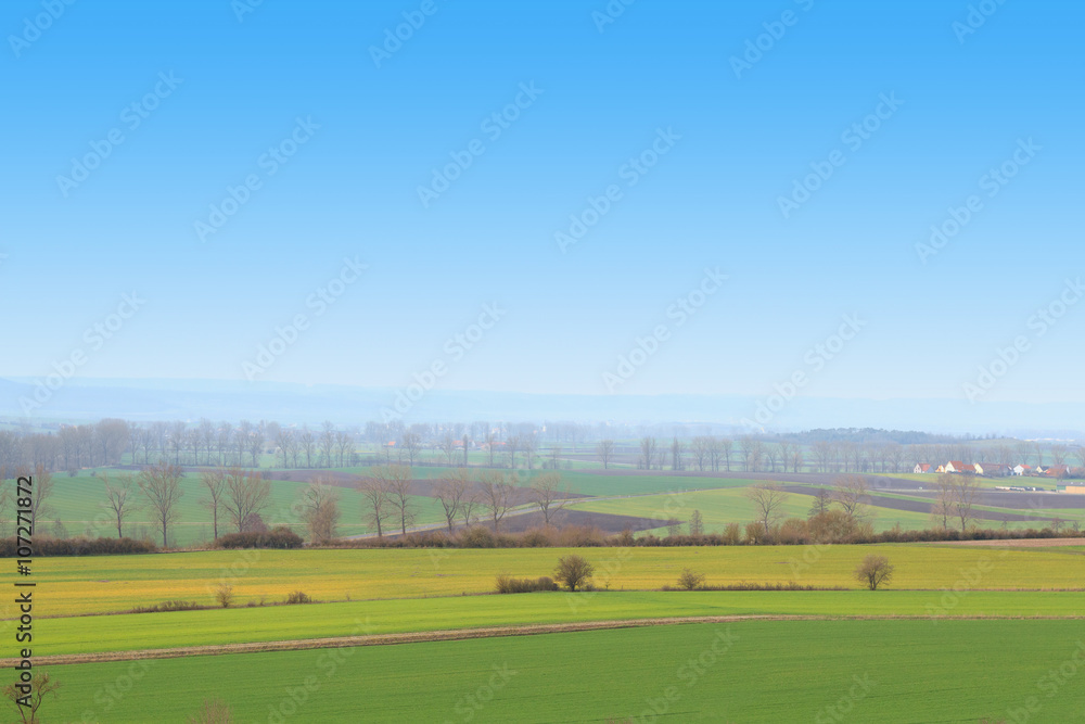beautiful landscape with green fields and blue sky