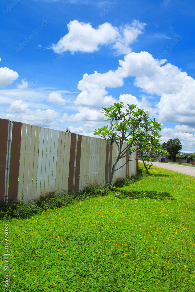Fototapeta premium Yellow flower field under the blue sky
