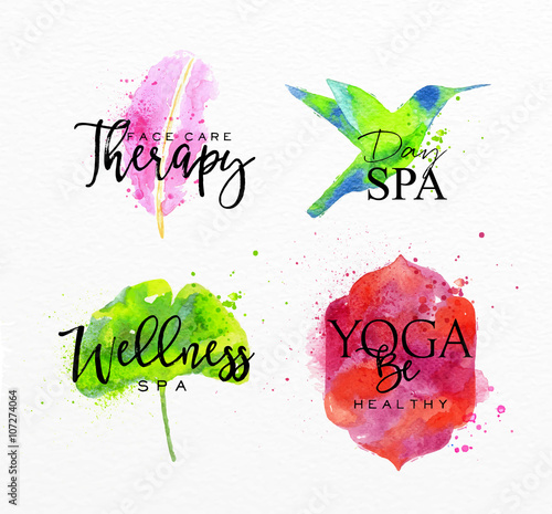 Beauty natural spa symbols feather
