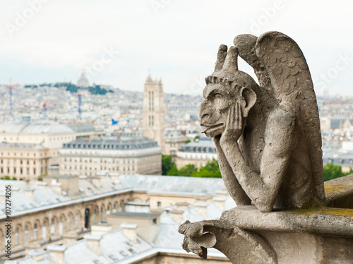 Notre-Dame Cathedral's Chimera and view of Paris