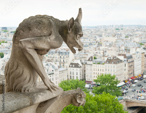 Notre-Dame Cathedral's Chimera and view of Paris