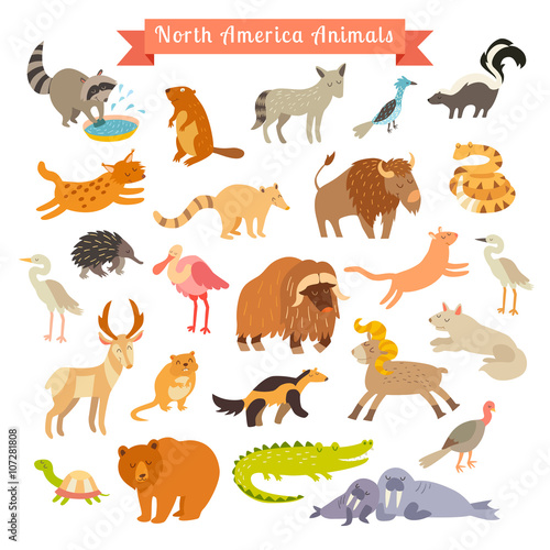 North America animals vector illustration. Big vector set. Isolated on white background. Preschool, baby, continents, travelling, drawn