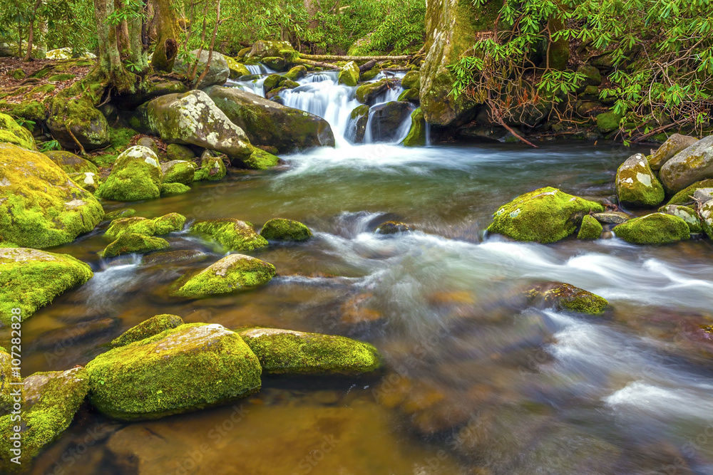 Stream in Gatlinburg Tennessee Stock Photo | Adobe Stock