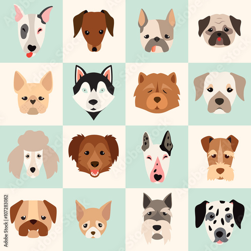 Set of cute dogs icons  vector flat illustrations. Popular dogs breeds  pattern  card  game graphics.