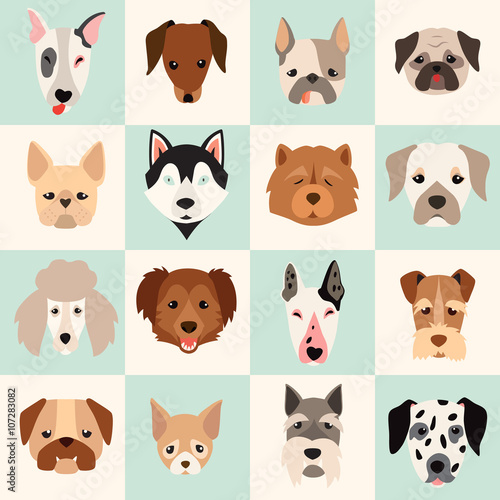 Set of cute dogs icons, vector flat illustrations. Popular dogs breeds, pattern, card, game graphics. photo