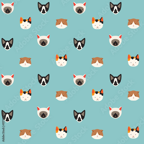 Cute cats vector pattern, illustrations on colored background.