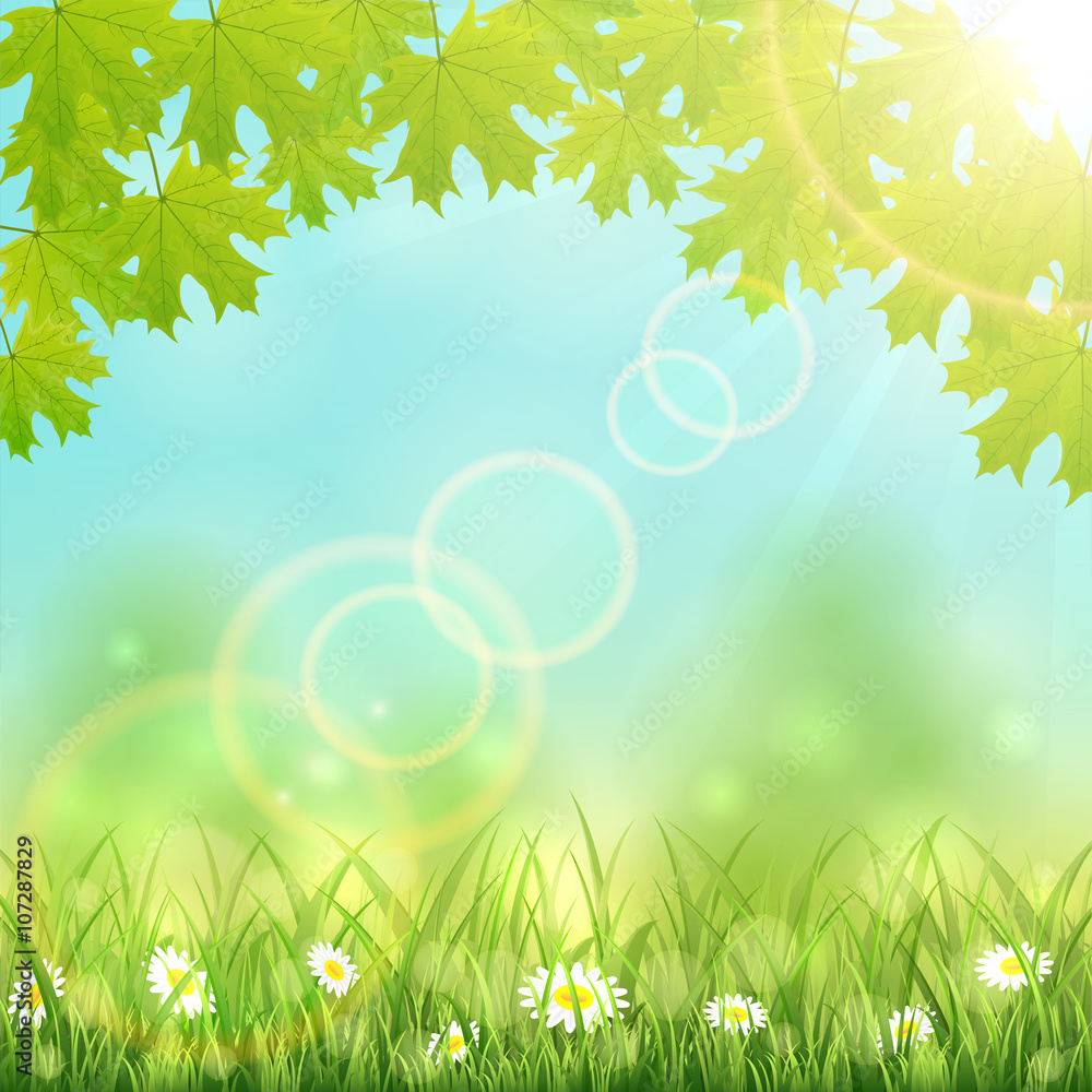 Obraz premium Nature background with leaves