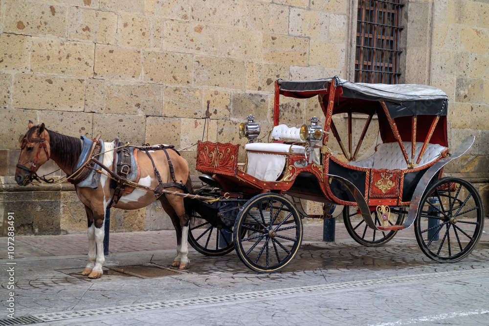 Horse car in Guadalajara