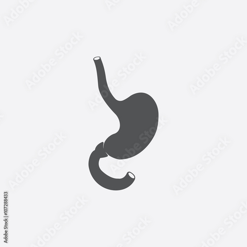 Stomach icon of vector illustration for web and mobile