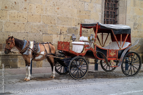 Horse car in Guadalajara