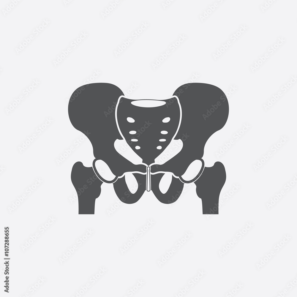 Hip bone icon of vector illustration for web and mobile Stock Vector ...