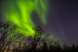 Bright Northern lights in  sky over trees