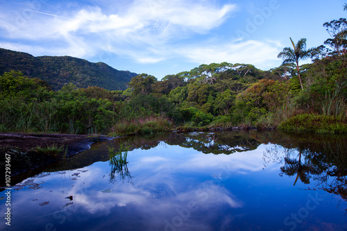 Small lake in Sinharaja rainforest with sky reflection, Sri Lanka